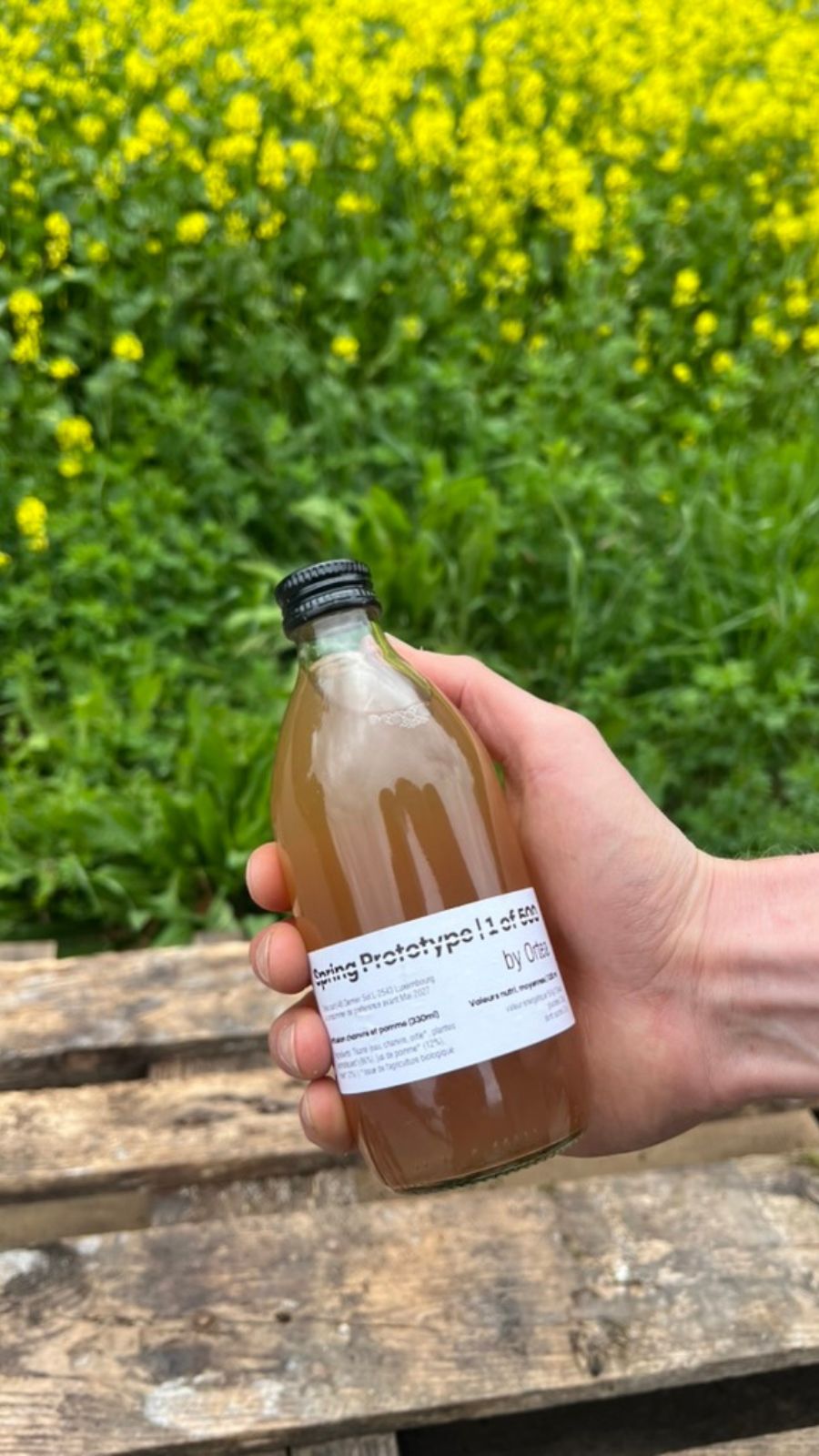ORTEA - Limited Prototype 12x33cl