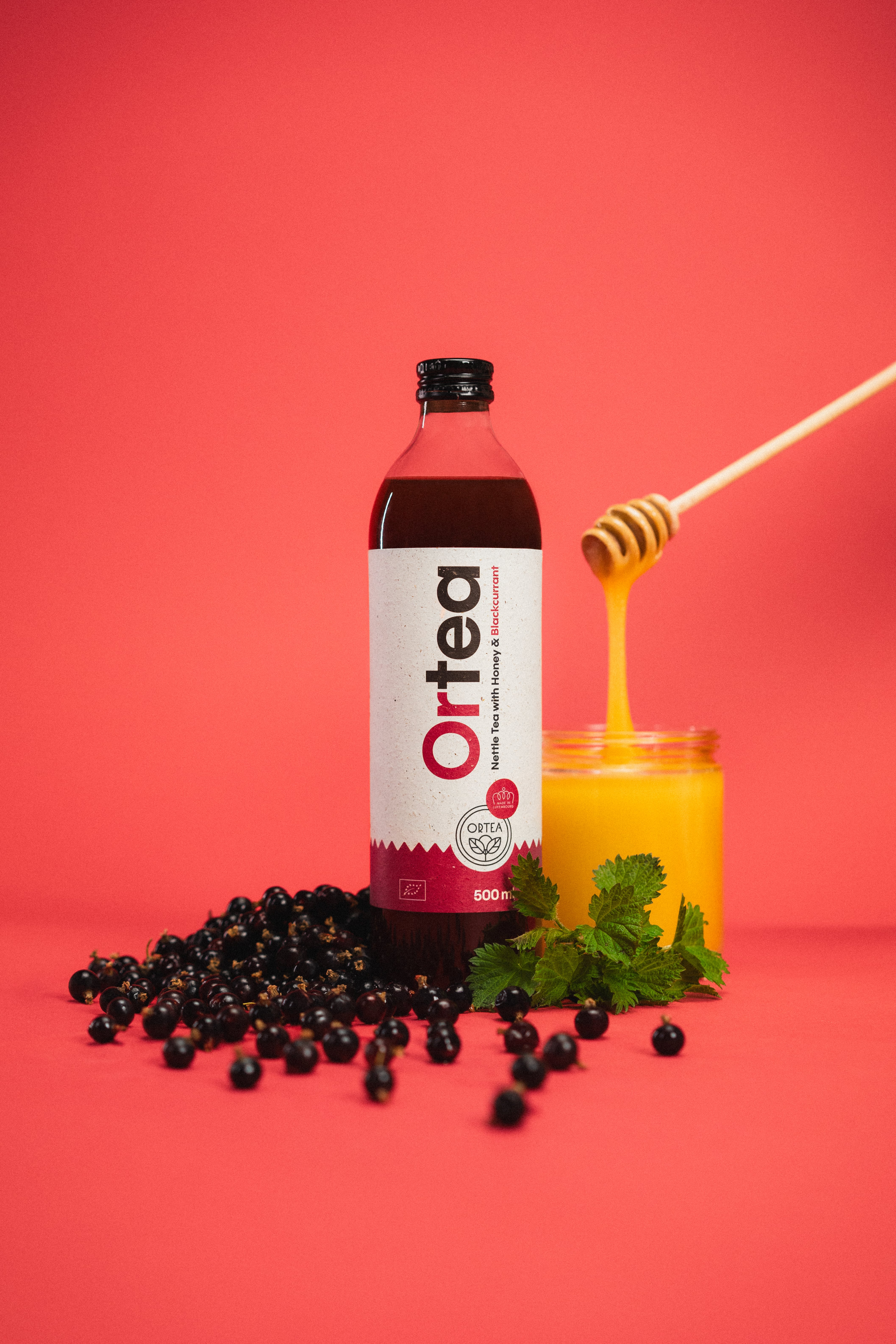 ORTEA - Blackcurrant 16x50cl - Organic Iced Tea